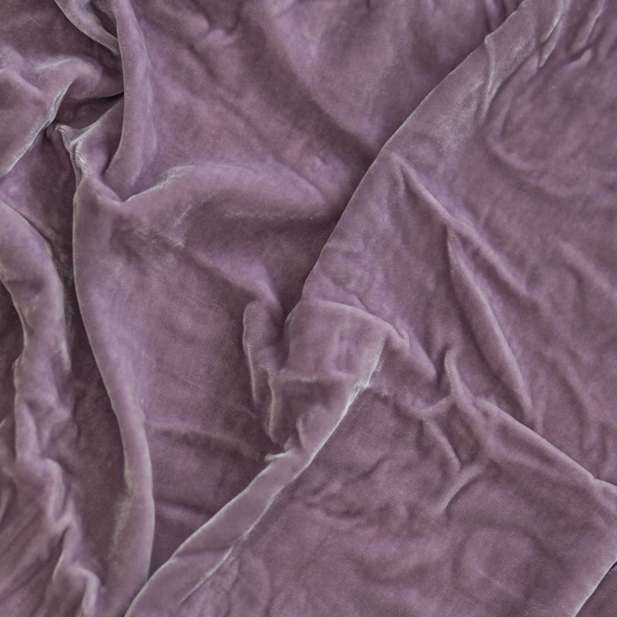 Lavender Silk Velvet