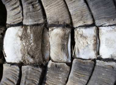 Sustainable Horn and Recycle Horn- Why you should wear horn jewelry
