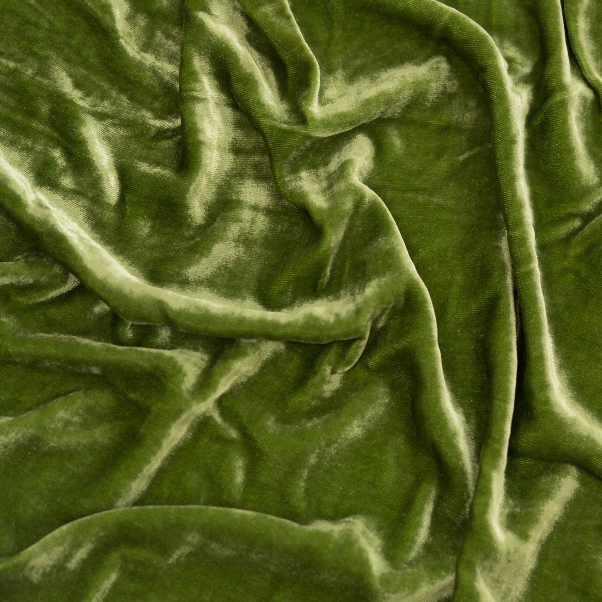 Vista Green Silk Velvet
