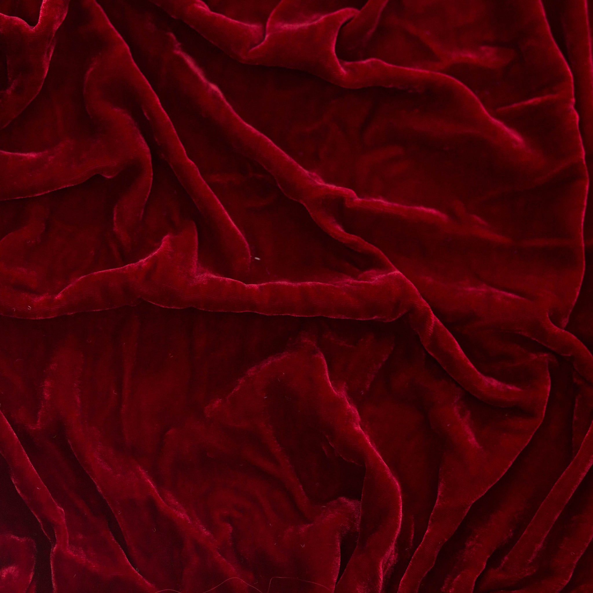 Red Rose Silk Velvet